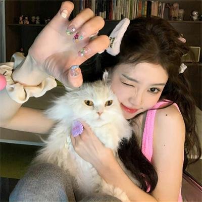 赛尔号第十季之冰封要塞